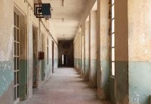 Napusteni dvorac u Novom Miloševu (3).jpg