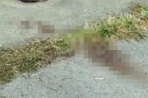 Tragovi krvi na pijaci u Debeljači  (4).jpg