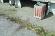 Tragovi krvi na pijaci u Debeljači  (5).jpg