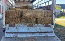 Akcija hapšenja 7.jpg