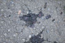 Tragovi krvi Pucnjava Višnjička Banja 2.jpg