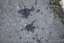 Tragovi krvi Pucnjava Višnjička Banja 3.jpg