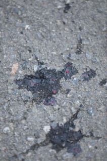 Tragovi krvi Pucnjava Višnjička Banja 4.jpg