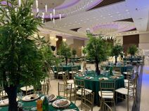 Majka Darka Lazica stigla nasmejana na slavlje (1).jpg