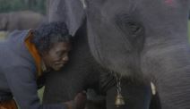 The Elephant Whisperers