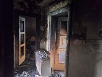 Požar u Batajnici (4).jpg