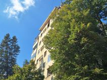 Požar u Rakovici (4).jpg