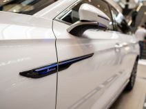 Cherry ARRIZO 8 (8).jpg