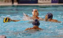 Nikola Jakšić na utakmici Radničkog iz Kragujevca