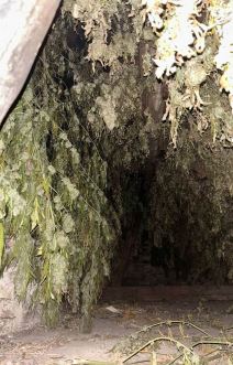 Zaplena droge (4).jpg