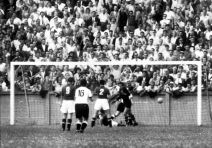 Vladimir Beara (1).jpg