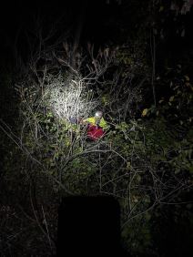 Gorska služba spasavanja (4).jpg