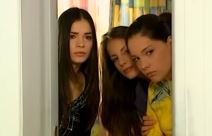 Ljubav navika panika