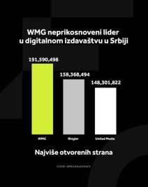 grafikoni wmg (4).jpg