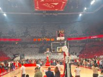 KK Crvena zvezda Panatinaikos Evroliga 2.jpeg