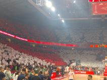 KK Crvena zvezda Panatinaikos Evroliga 4.jpeg