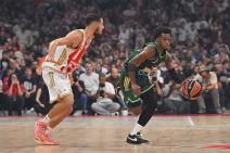 Crvena zvezda - Panatinaikos 28.JPG