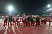 Crvena Zvezda  (2).jpg