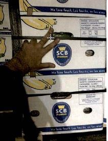 Uhapšen Radoje Zvicer i osuđen na 16 godina zatvora (2) copy.jpg