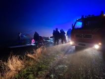 Pao avion kod Subotice (2).jpg