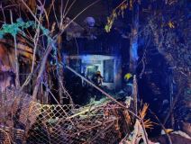 Požar na Senjaku (3).jpg