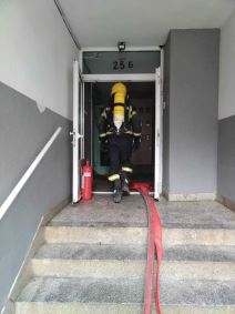 Požar u Lazarevcu (3).jpg