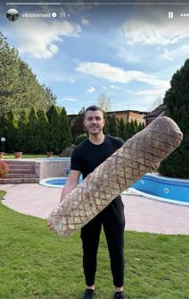 Viktor Živojinović slava