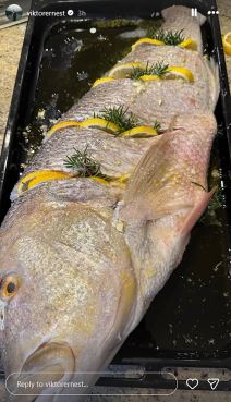 Viktor Živojinović slava Aranđelovdan (3) copy.jpg