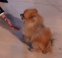 Jovana Jeremić (3).jpg