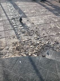 Srušio se deo fasade sa terase iznad EM pekare u Kosovskoj (3).jpg