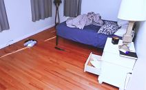 rupa na plafonu u spavaćoj sobi Brajana i Ane Volš (4).jpg