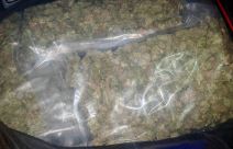 zaplena marihuane (3).jpg