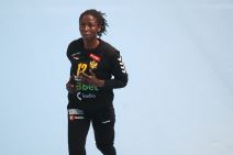 Armele Atingre  (3).jpg