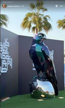 Saška Veselinov (3).jpg