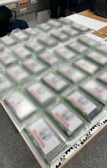 Zaplena droge (4).jpg