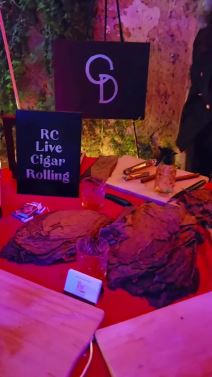 Konor Mekgregor venčanje (2).jpg