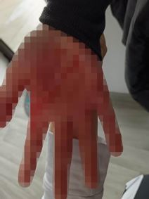 vršnjačko nasilje u Vlastotincu (3).jpg