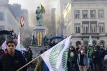 Protest poljoprivrednika u Briselu, Belgija (2).jpg