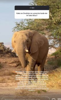 Maša Memedović prespavala u pustinji u Africi (2).jpg