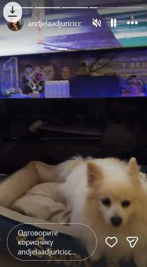 Stan Anđele i Gastoza (2).jpg