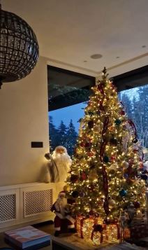 Bojana Rajić kuća za praznike (4).jpg