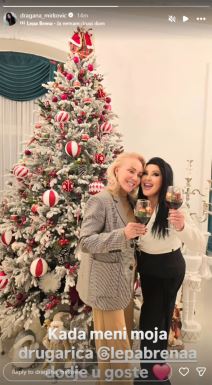 Lepa Brena Dragana Mirković u dvorcu (2).jpg