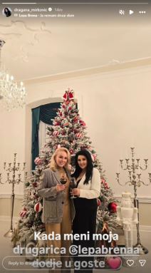 Lepa Brena Dragana Mirković u dvorcu (4).jpg