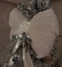 Tačkasta Mara jelka2.jpg