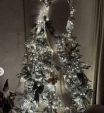 Tačkasta Mara jelka4.jpg