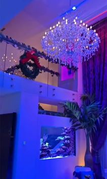 Koko Ostin nova kuća (3).jpg