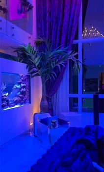 Koko Ostin nova kuća (4).jpg