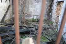 Napadač sa Novog Beograda poslednji put viđen na Zvezdari i na Vračaru (3).jpg