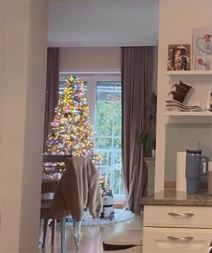 Maja Berović pokazala deo luksuznog doma (5).jpg