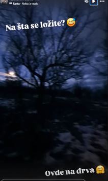 Vojislav Milošević (1).jpg